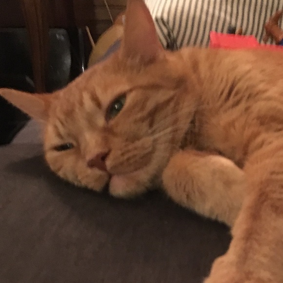 Meet your Posher, Catherine - Picture 1 of 1